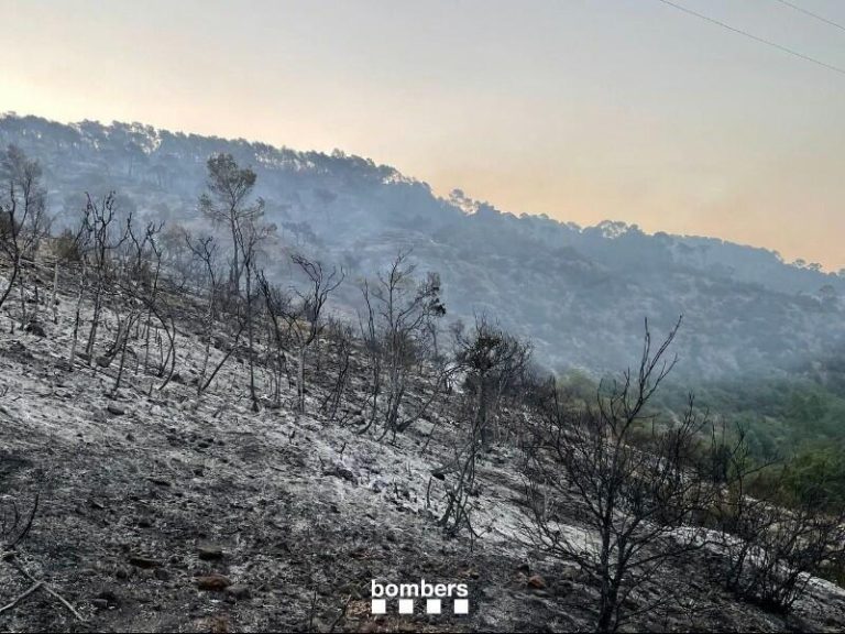Extinguido el incendio de Artesa de Segre (Lleida)
