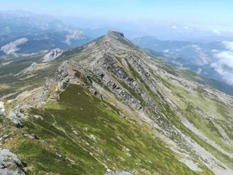 Autopista Reinosa-Potes, una amenaza para un ecosistema clave: Expertos advierten sobre los riesgos