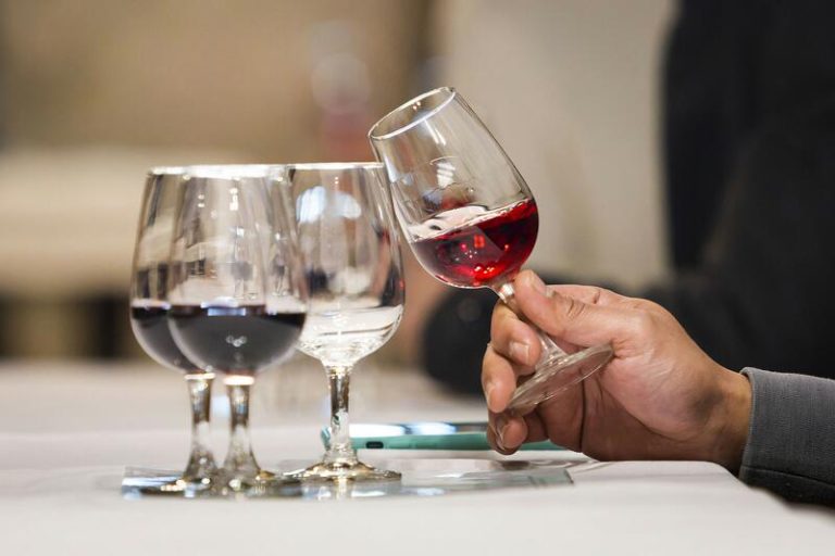 Aprende más sobre la cultura del vino con estos cursos gratis en septiembre