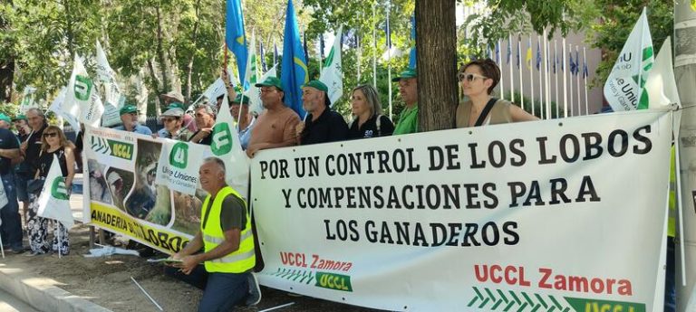 Unión de Uniones pide a la UE una Directiva Europea para la protección frente al lobo y amenaza con tractoradas