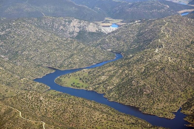 El fuego en Andújar afectó a zonas de nidificación de aves amenazadas
