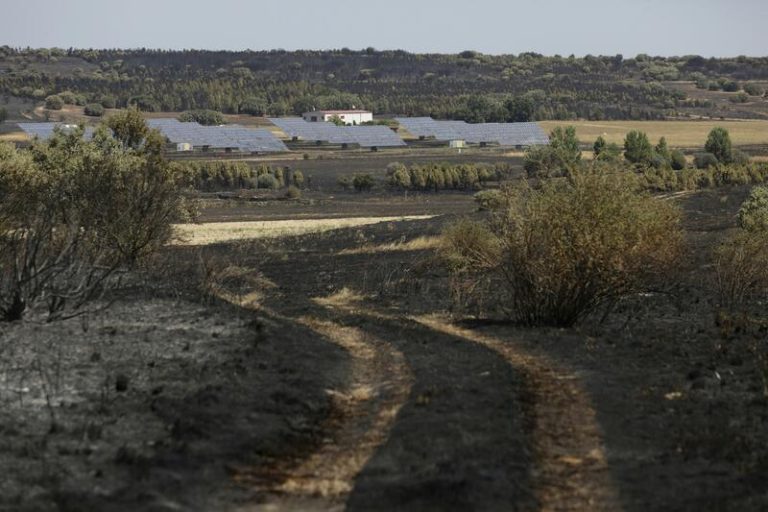 Ecologistas en Acción pide a los gobiernos europeos que se comprometan a reducir la deforestación