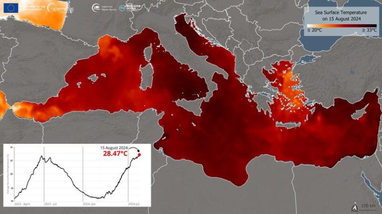 La temperatura de la superficie del Mediterráneo es superior a los 28ºC desde el 6 de agosto