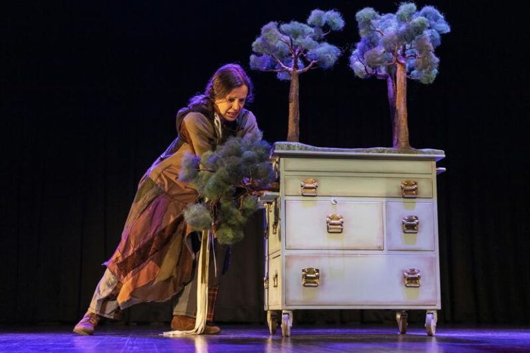 La Feria de Teatro de Ciudad Rodrigo se cierra con una docena de actuaciones y dos primeras producciones