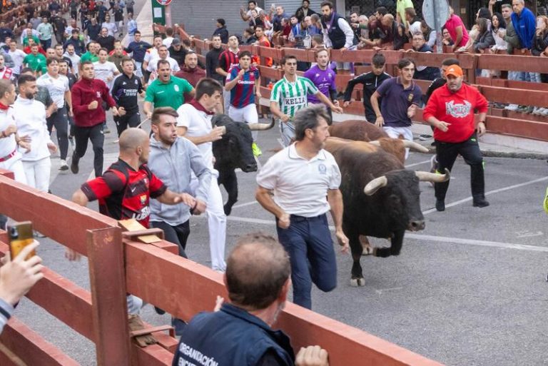 Murió un hombre de 51 años corneado por un toro durante un evento en Mesones en El Casar