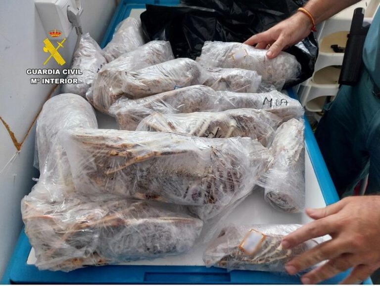 La Guardia Civil incauta kilos de pescado ilegal en Santa Pola