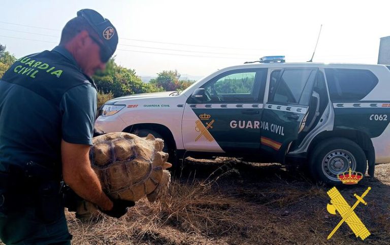La Guardia Civil recupera una 'tortuga sulcata' de 25 kilos en Cabo de Gata