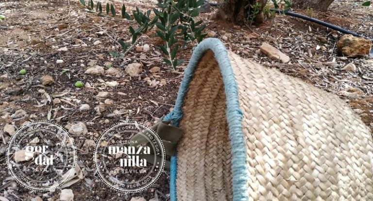 La batalla de la Manzanilla de Sevilla: Andalucía toma cartas en el asunto