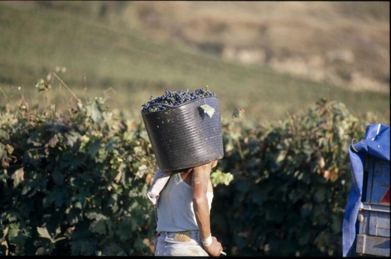 El Gobierno Vasco impulsa 2 campañas de seguridad laboral para el personal temporero