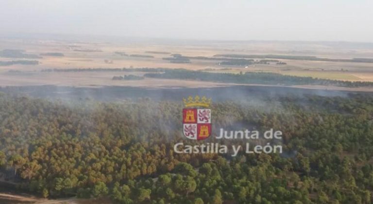 La Junta de Castilla y León da por apagados los incendios de El Raso y Cabizuela