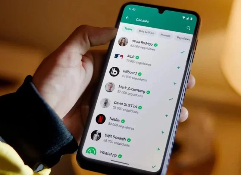 LISTAS PERSONALIZADAS EN WHATSAPP