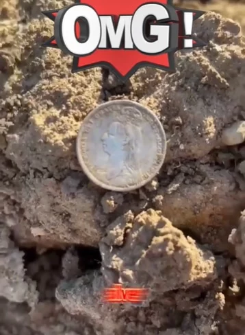 Moneda encontrada con detector de metales.