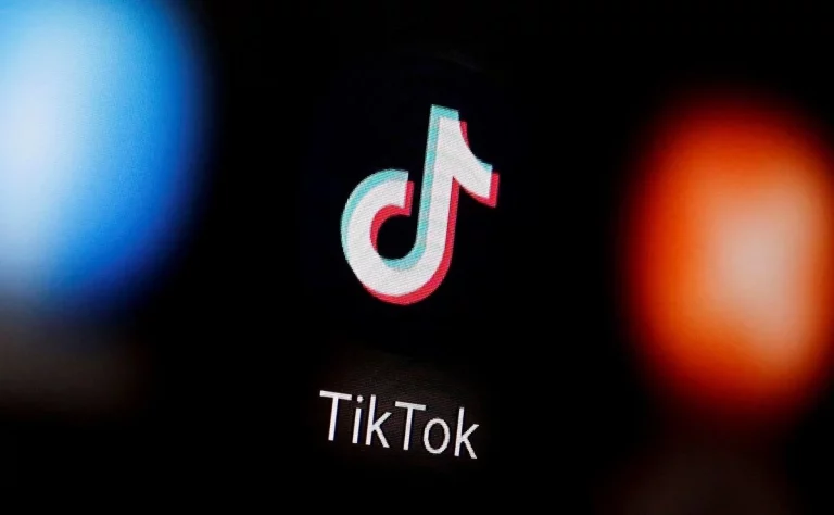 Domina TikTok: Cómo controlar los temas que te recomienda la app