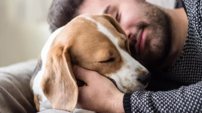 No eres especial: hay 3 razones lógicas por las que tu perro quiere dormir a tu lado
