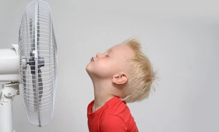 Cómo sobrevivir a la ola de calor: tips frescos para evitar derretirte en verano