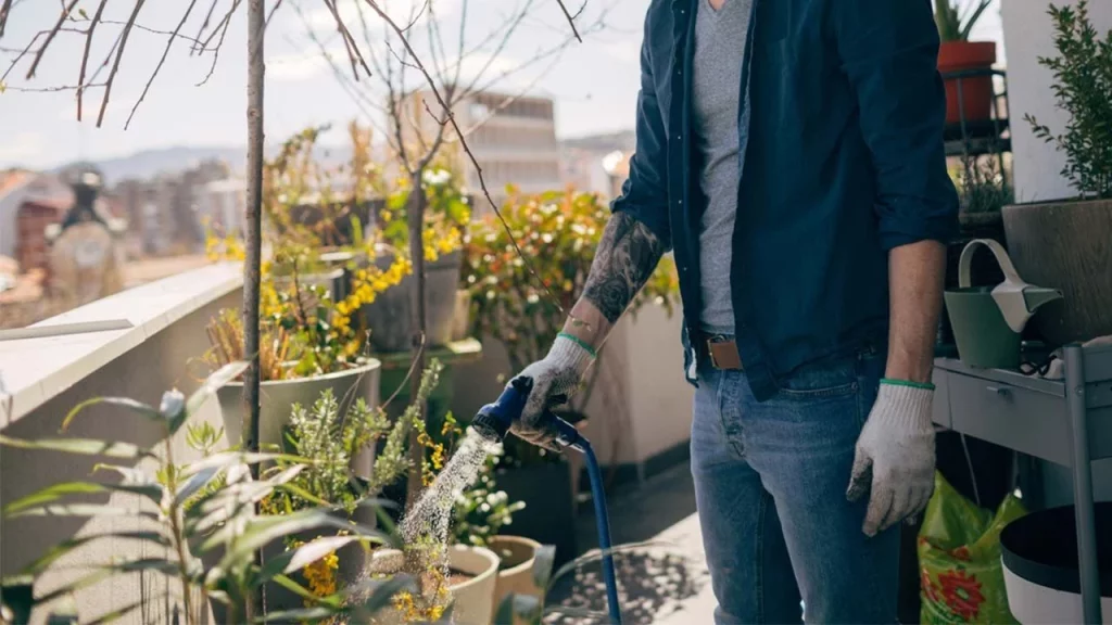 Control de plagas y enfermedades