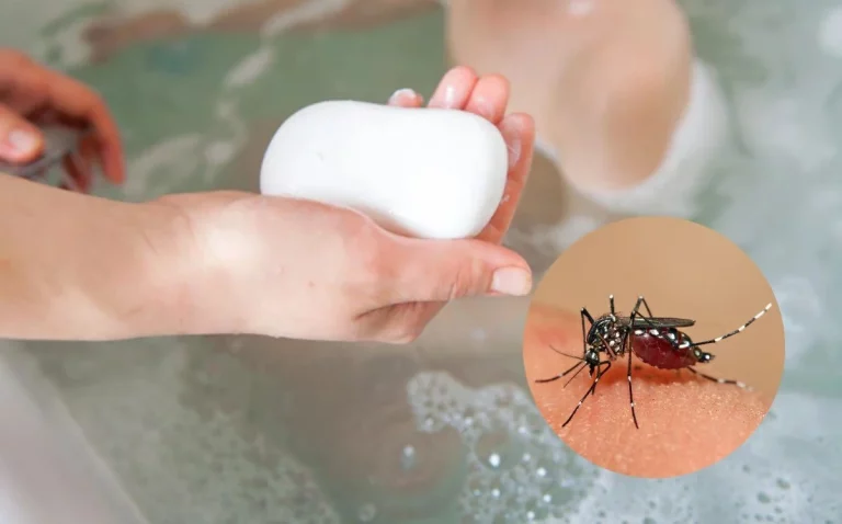 Dile adiós para siempre a las picaduras de mosquitos con este jabón que además huele de escándalo