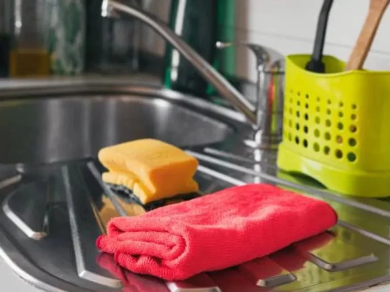 Estropajo de cocina: ¿Cada cuánto tiempo debo cambiarlo?