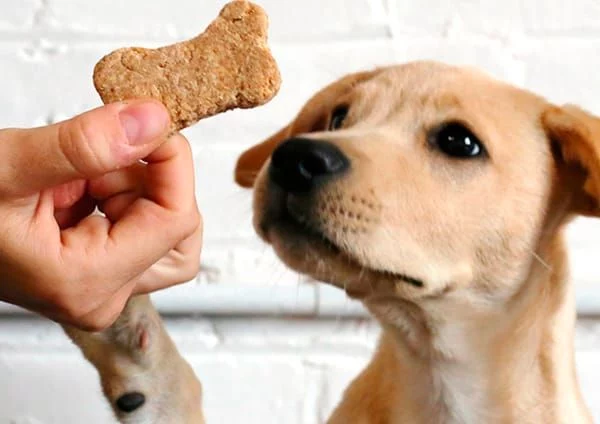 Galletas de avena y manzana