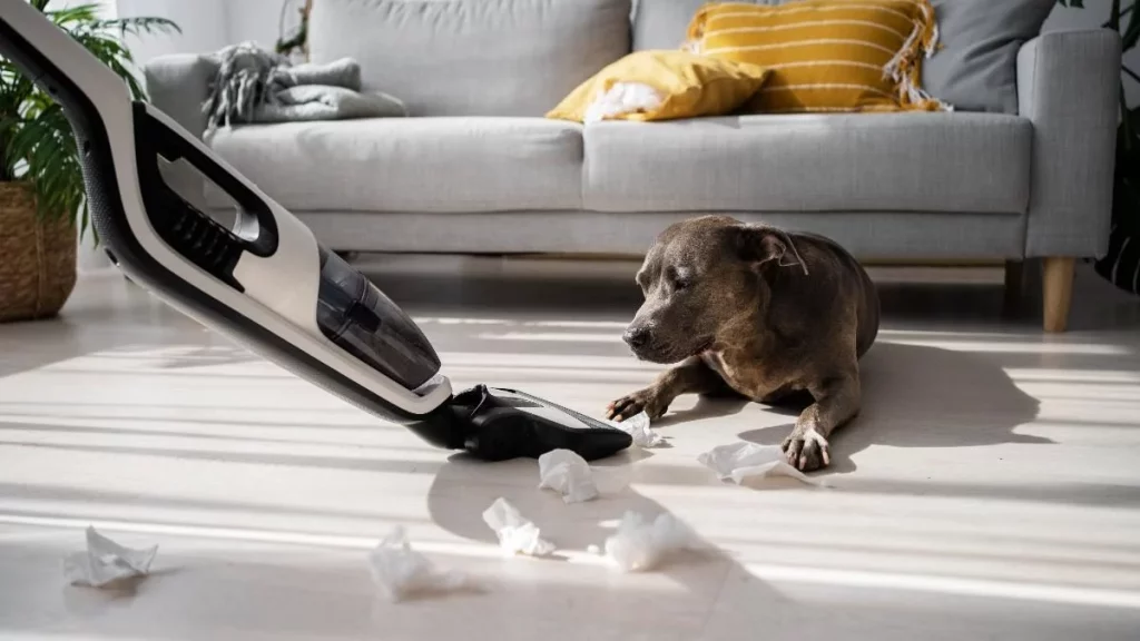 Limpieza frecuente y eficaz de suelos