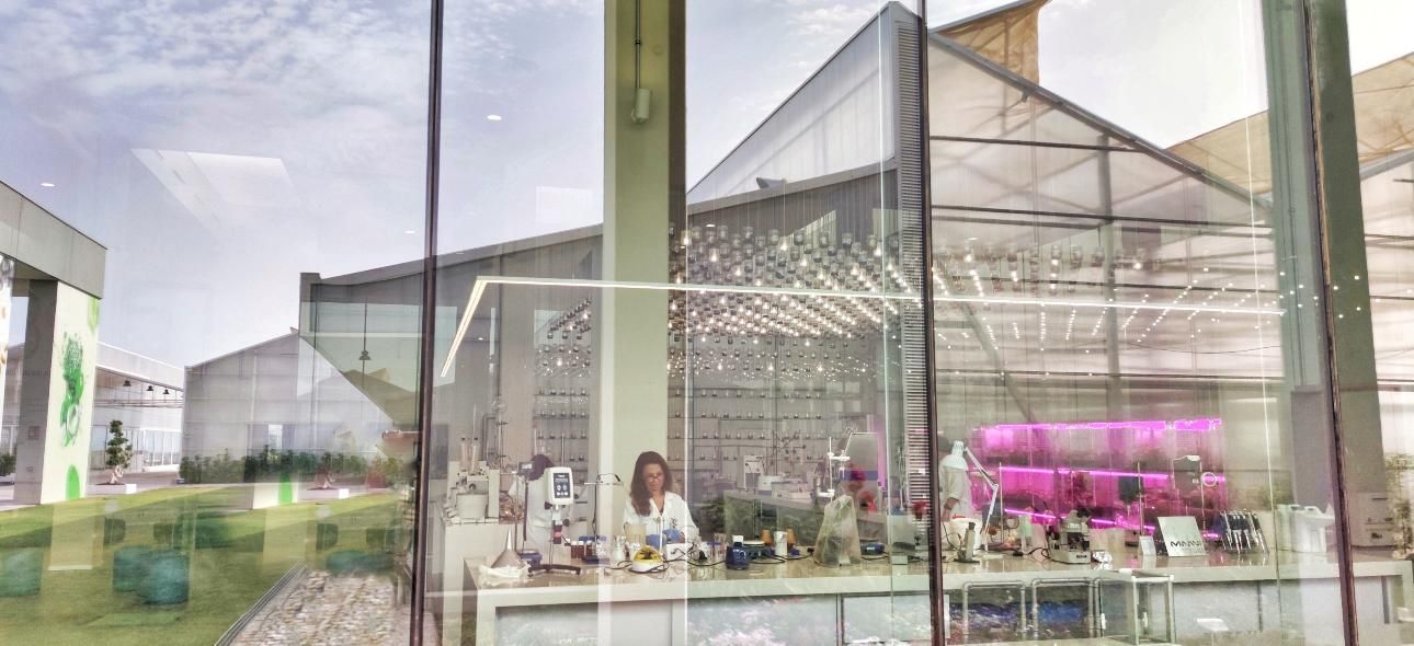 El centro de biotecnología MAAVi desvela cómo el pelo porcino puede cambiar la forma de cuidar el cabello 1 MAAVI 1