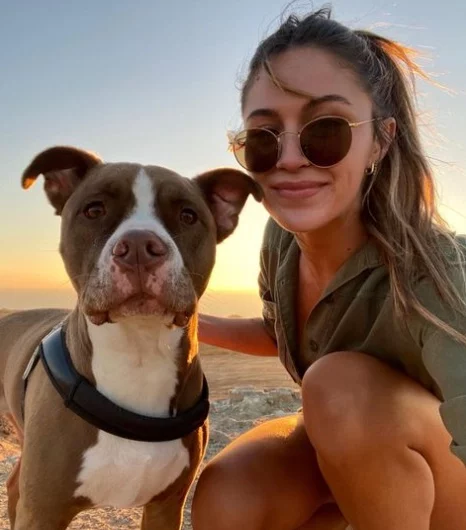 Mujer perro pitbull 1