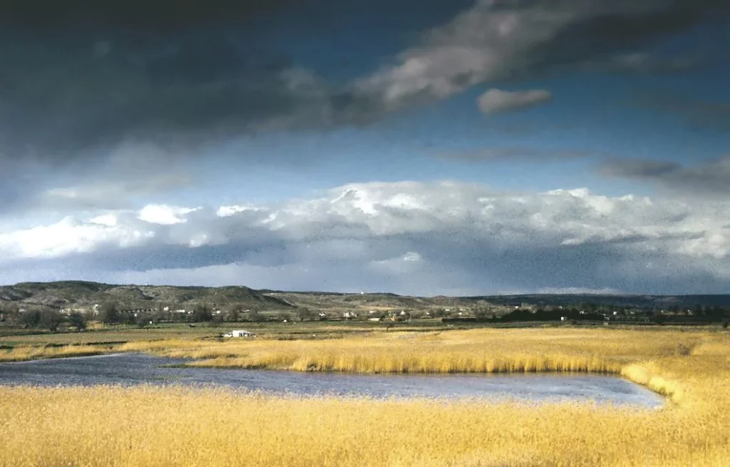 Refugio de Fauna de la Laguna de San Juan