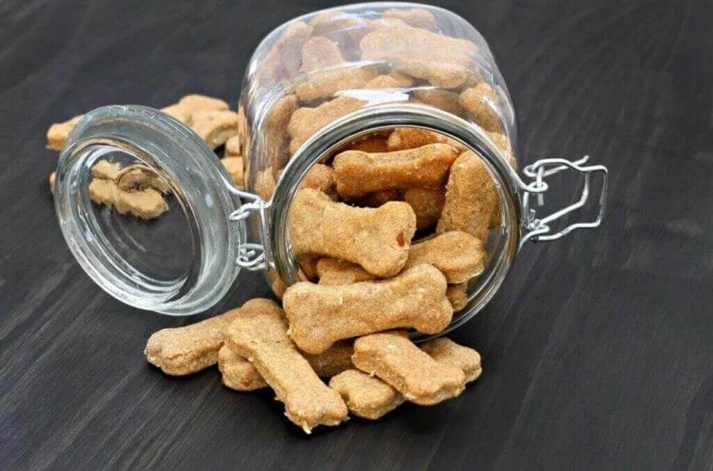 Snacks de zanahoria y pollo