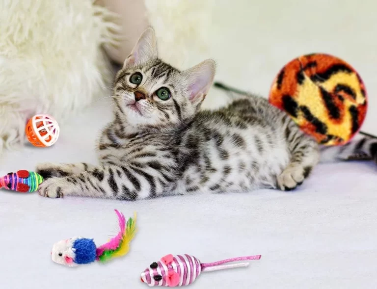 Amazon y sus últimas novedades en productos para mascotas