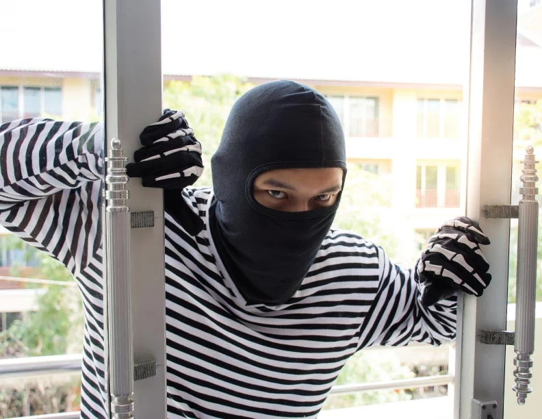 ladronesasdffadsfasd