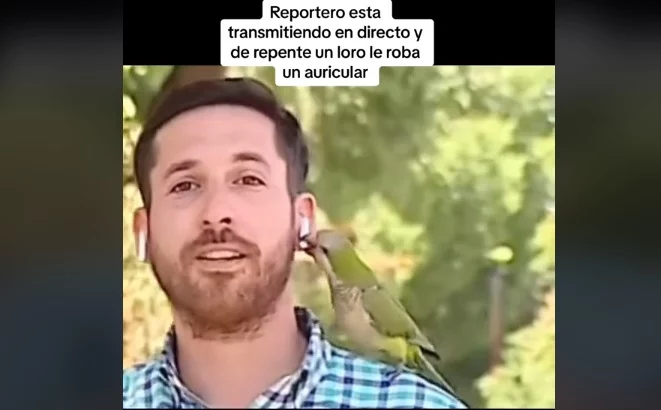 Periodista sufre llamativo robo.