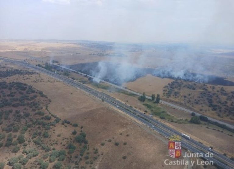 Baja a nivel 0 el incendio forestal en Buenavista, Salamanca