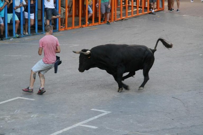 El Síndic examina el proceder de Justicia en accidentes de niños en celebraciones con toros