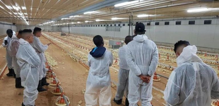 ¡Oportunidad única! Unión de Uniones facilita empleo agrícola a inmigrantes