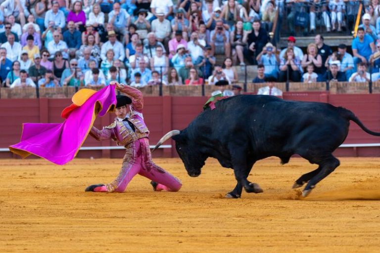 El Ministerio de Cultura suprime el Premio Nacional de Tauromaquia