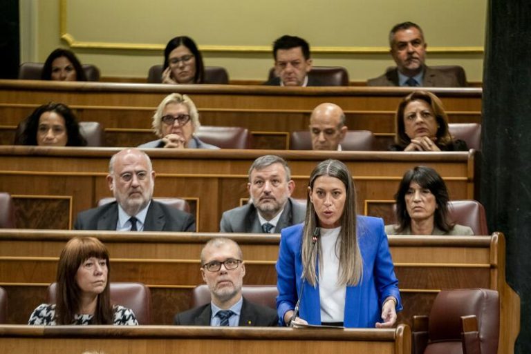 Junts aboga por endurecer las penas por robo de teléfonos móviles en el Congreso