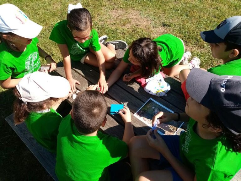 Combate la suciedad en la naturaleza con el programa ecológico de LIBERA