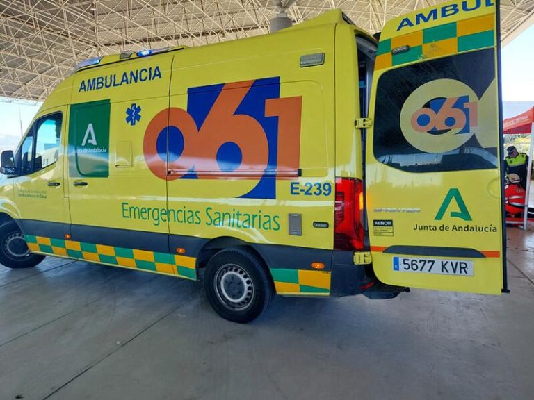 ¡Escándalo en la Feria de Bornos! Accidente deja a tres niños lesionados