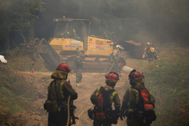 Los incendios forestales devoran 44.715 hectáreas en 2024, ¡casi la mitad que la década anterior!