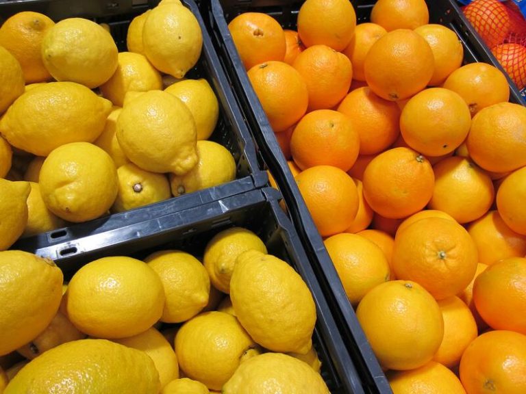 Agricultura estima un aforo inicial de 5,84 millones de toneladas para la campaña de cítricos, un 1% menos