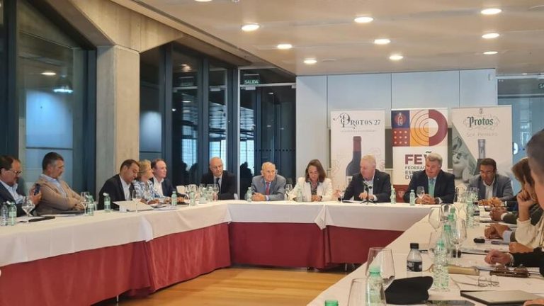 ¡La Federación del Vino da un paso adelante! Novedades en su estrategia para combatir el cambio climático en los viñedos