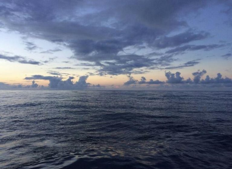 Tiburón ataca a 514 km del archipiélago: la verdad sobre lo ocurrido en Canarias