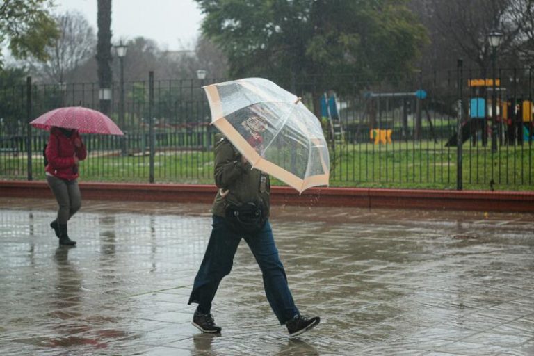 Las lluvias y el calor traerán de vuelta a los mosquitos y las cucarachas en otoño