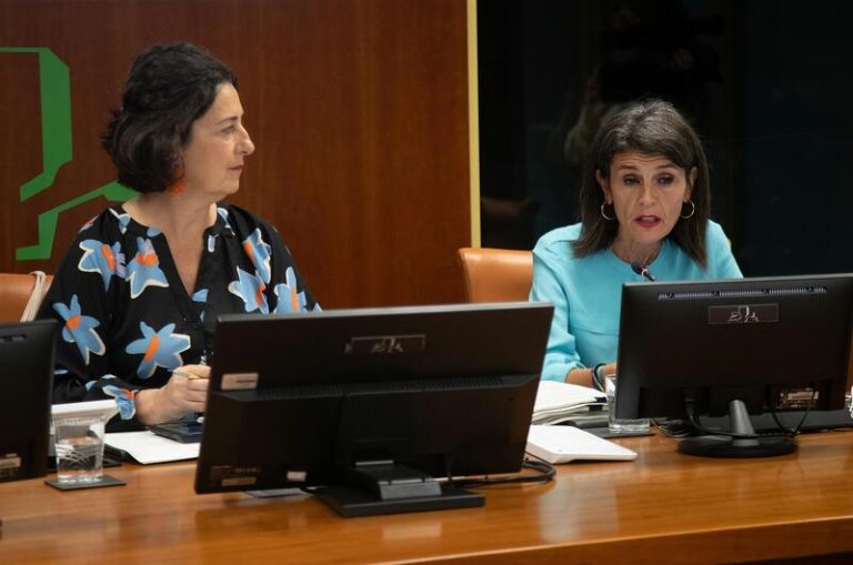 El País Vasco amplía los permisos de papá y mamá a 24 semanas este mandato