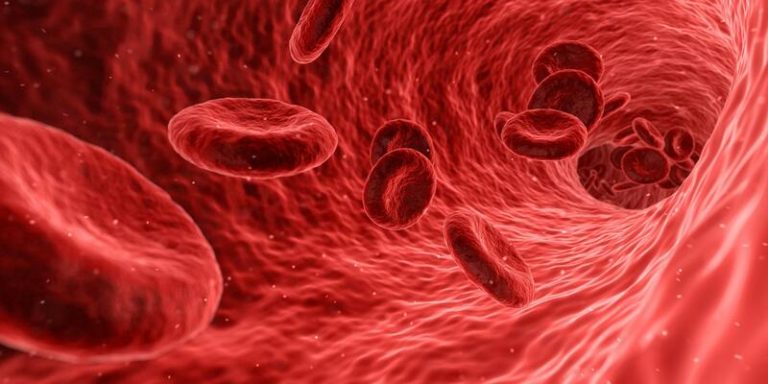 Científicos hallan un inédito tipo de sangre llamado MAL y desentrañan un enigma de cinco décadas