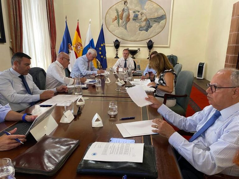 Islas Canarias reclaman a los partidos políticos una salida definitiva a la crisis de la inmigración: 