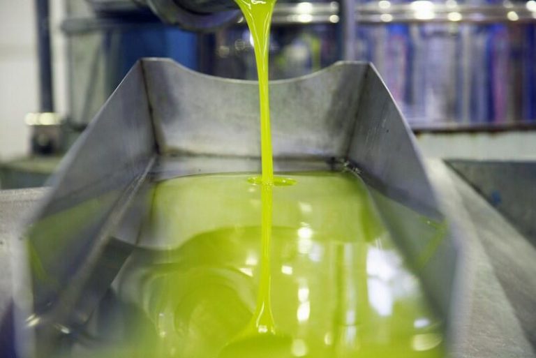 Aceite de oro: Planas vislumbra un futuro brillante para la producción olivarera española