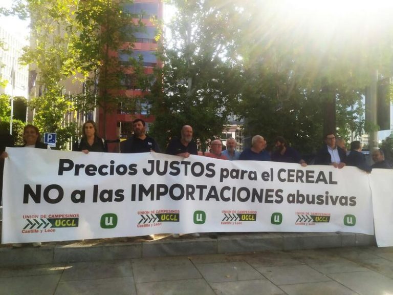 Unión de Uniones le exige a Bruselas tomar medidas por las importaciones de cereales desde Ucrania
