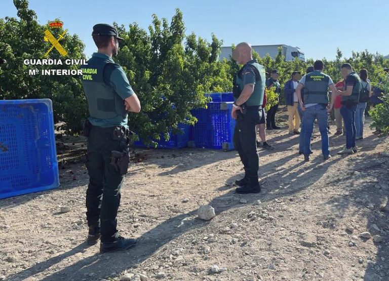 Desarticulada en Murcia una red de explotación laboral en explotaciones agrarias