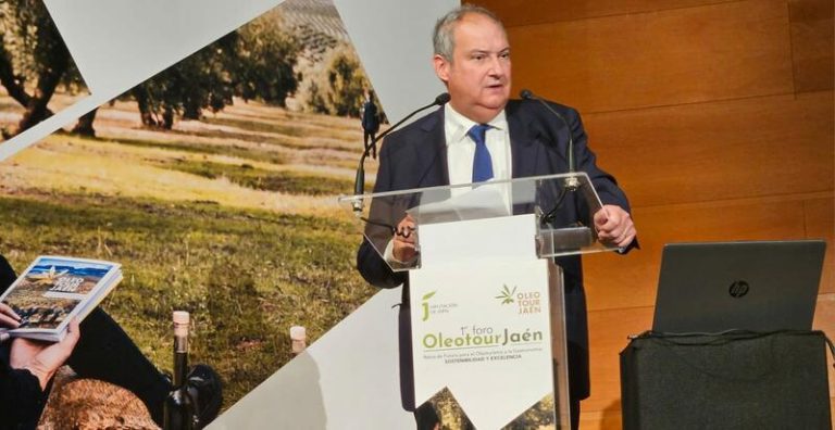 Hereu reivindica el potencial del oleoturismo como generador de riqueza y puntal de turismo de interior